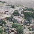 20191231180311-62078726