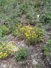 IMG 20200803 113318383