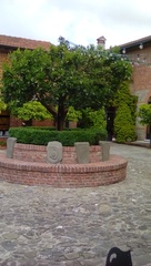 20191230231854-7a423cf6