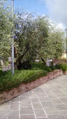 20191230231904-998548bd