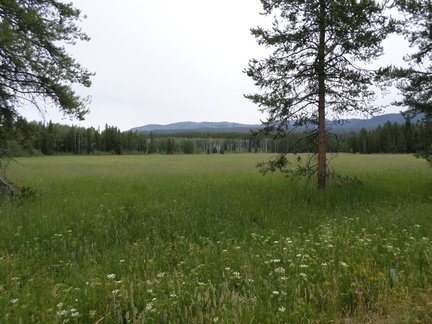 20191231140851-c6278355