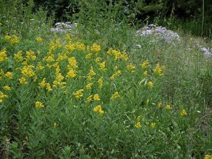 20191231141214-4621a0b7