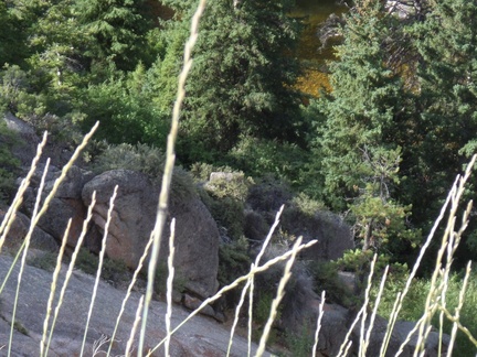 20191231144404-d5bd4271