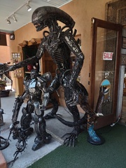 IMG 20210809 133314907