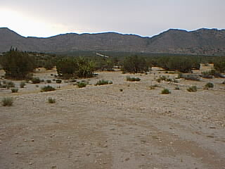 20191231203924-50cdad6a